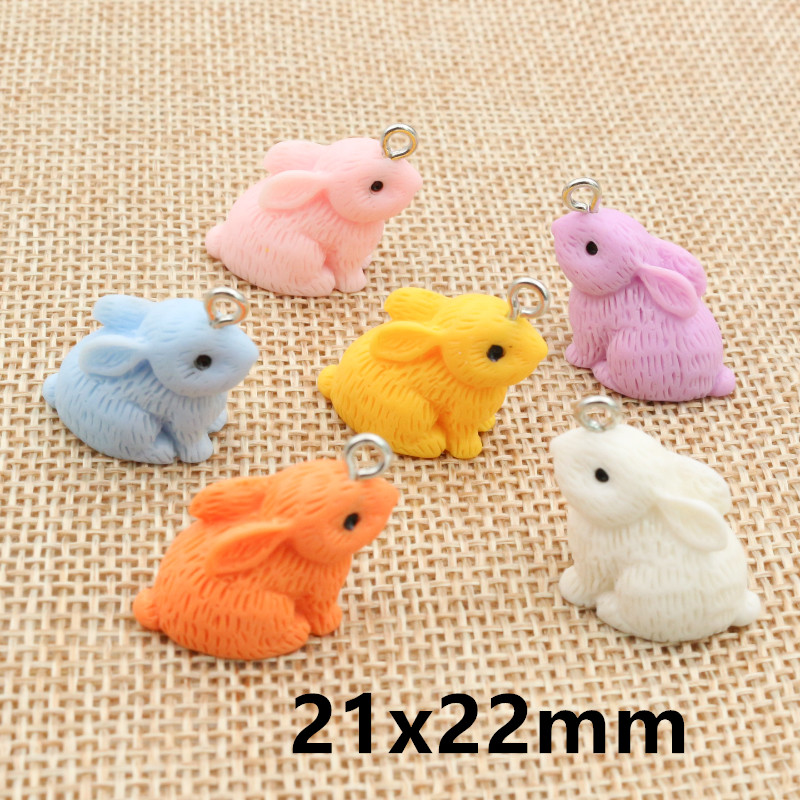 10PCS Resin Pendant Charms Rab - огляд і ціна Resin Craft Supplies